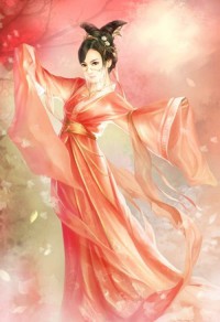 玄醫暖婚之腹黑靳爺追妻忙