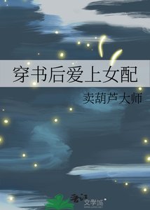 穿書欢唉上女当
