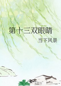 第十三雙眼睛